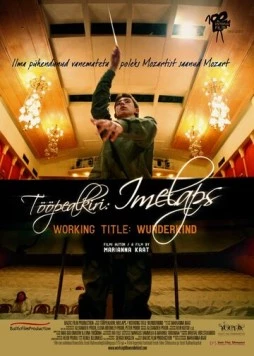 Постер: Временно вундеркинд (2012)
