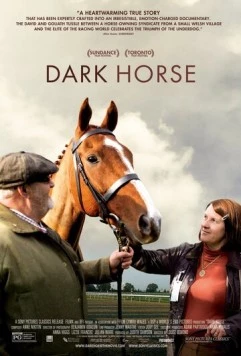 Постер: Тёмная лошадка / Dark Horse (2015)