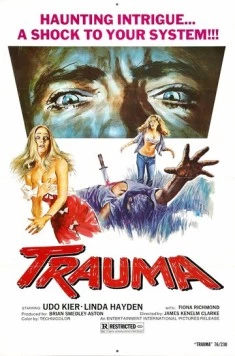 Постер: Дом на соломенном холме (1976)