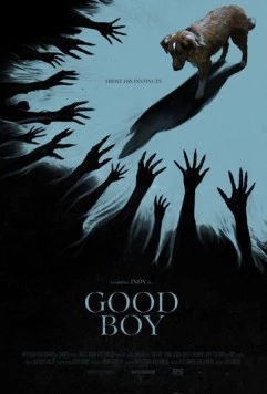 Постер: Хороший мальчик / Good Boy (2025)
