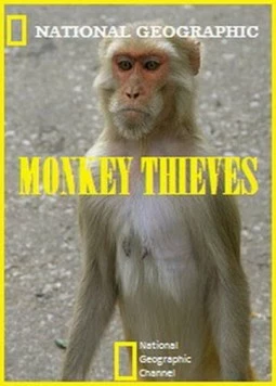 Постер: Обезьяны-воришки / Monkey Thieves (2008)