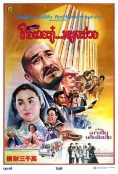 Постер: Тридцать миллионов долларов / Wang choi sam sap man (1987)
