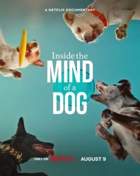Постер: О чем думают собаки / Inside the Mind of a Dog (2024)