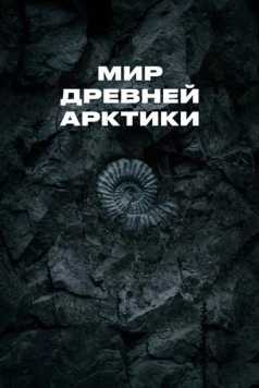 Постер: Мир древней Арктики (2025)