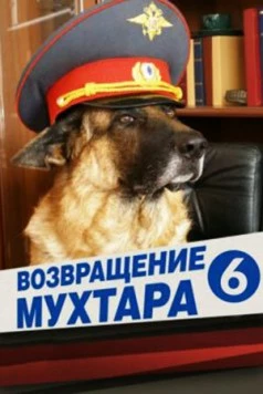 Постер: Возвращение Мухтара 6 (2009-2010)