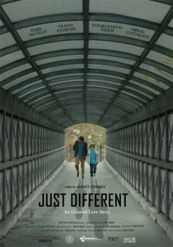 Постер: Просто другой / Just Different (2020)