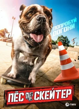 Постер: Пёс-скейтер / Sk8 Dawg (2018)