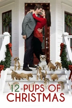 Постер: 12 щенков Рождества / 12 Pups of Christmas (2019)