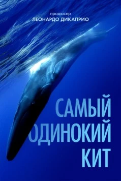 Постер: Самый одинокий кит (2021)