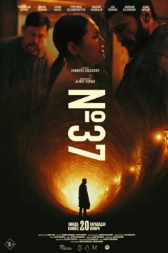 Постер: № 37 (2025)