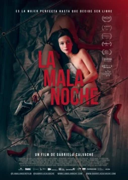 Постер: Злая ночь / La mala noche (2019)