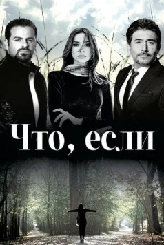 Постер: Что, если / What If: Aka Laow (2014)