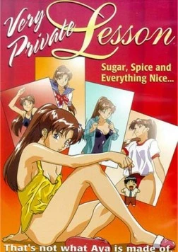 Постер: Частный урок / Kyokasho ni nai! (1998)