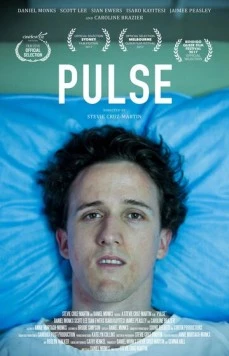 Постер: Пульс / Pulse (2017)