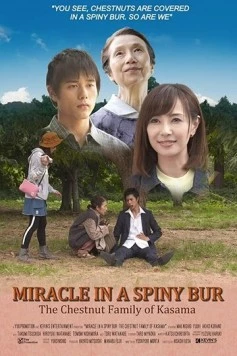 Постер: Чудо в Касаме / Toge no Naka ni Aru Kiseki - Kasama no Kuri no Kinoshita ke (2018)
