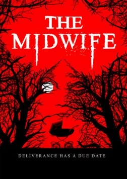 Постер: Акушерка / The Midwife (2021)