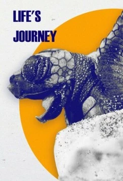 Постер: Путешествие жизни / Life's Journey (2017)