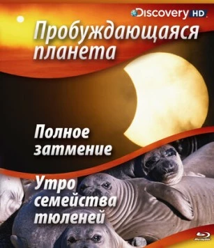 Постер: Пробуждающаяся планета / Sunrise Earth (2004)