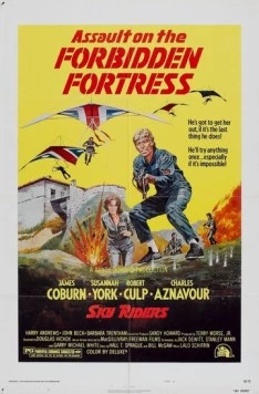 Постер: Небесные всадники / Sky Riders (1976)