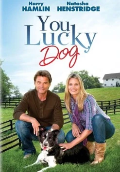 Постер: Везучий пёс / You Lucky Dog (2010)