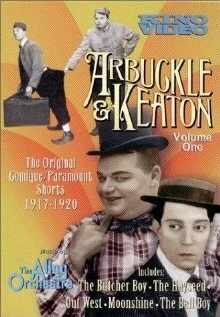 Постер: Деревенщина / The Hayseed (1919)