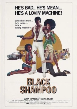 Постер: Чёрный шампунь / Black Shampoo (1976)