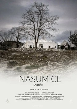 Постер: Брошенный / Nasumice (2018)