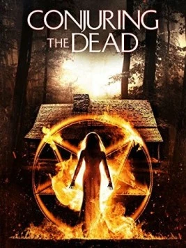Постер: Долина ведьмы / Valley of the Witch (2014)