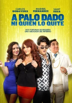 Постер: Что было, то прошло / A Palo dado ni quien lo quite (2017)