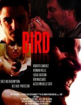 Постер: Птица / Bird (2020)