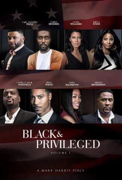 Постер: Чёрные и привилегированные / Black Privilege (2019)