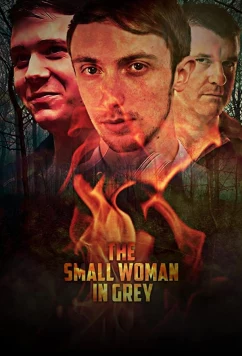 Постер: Маленькая женщина в сером / The Small Woman in Grey (2017)