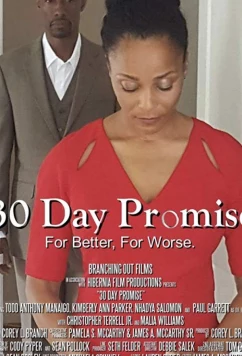 Постер: 30-дневное обещание / 30 Day Promise (2017)