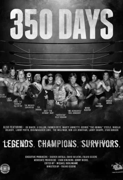 Постер: 350 дней / 350 Days (2018)