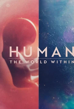 Постер: Человеческое тело: мир внутри / Human: The World Within (2021)