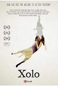 Постер: Чоло / Xolo (2017)