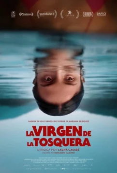 Постер: Дева карьерного озера / La Virgen de la Tosquera (2025)