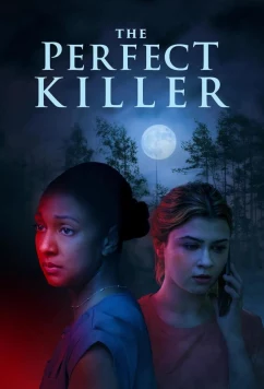 Постер: Идеальный убийца / The Perfect Killer (2025)