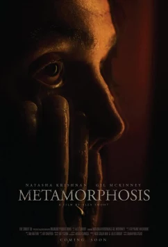 Постер: Метаморфозы Исмаилы Ба / Metamorphosis (2022)
