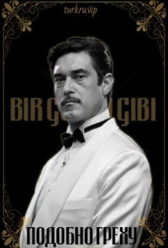 Постер: Подобно греху / Bir Günah (2011)