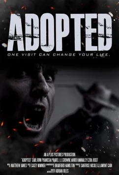 Постер: Приёмная / Adopted (2020)