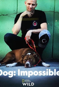 Постер: Собака: Невозможное возможно / Dog: Impossible (2019)