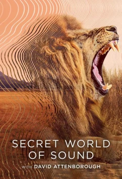 Постер: Тайный мир звука с Дэвидом Аттенборо / Secret World of Sound with David Attenborough (2024)
