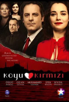Постер: Темно-красный / Koyu Kirmizi (2012)