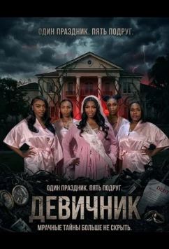 Постер: Девичник / The Bachelorette Party (2026)