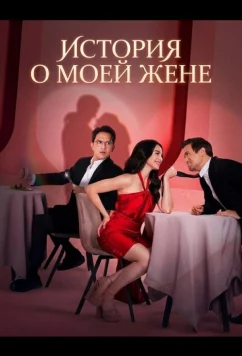 Постер: История о моей жене / Everything About My Wife (2025)