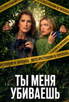 Постер: Ты меня убиваешь / Allie & Andi / You're Killing Me (2026)