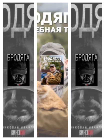 Постер: Бродяга